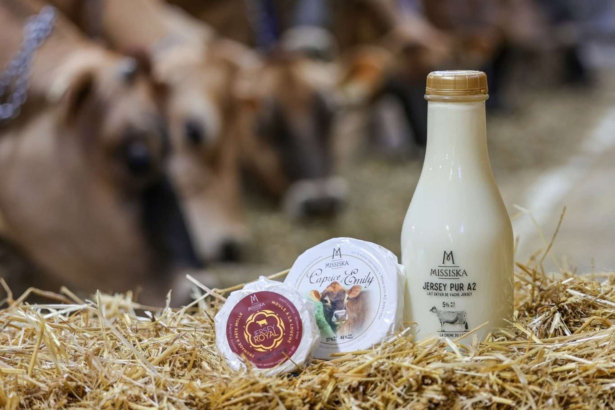 FROMAGERIE MISSISKA